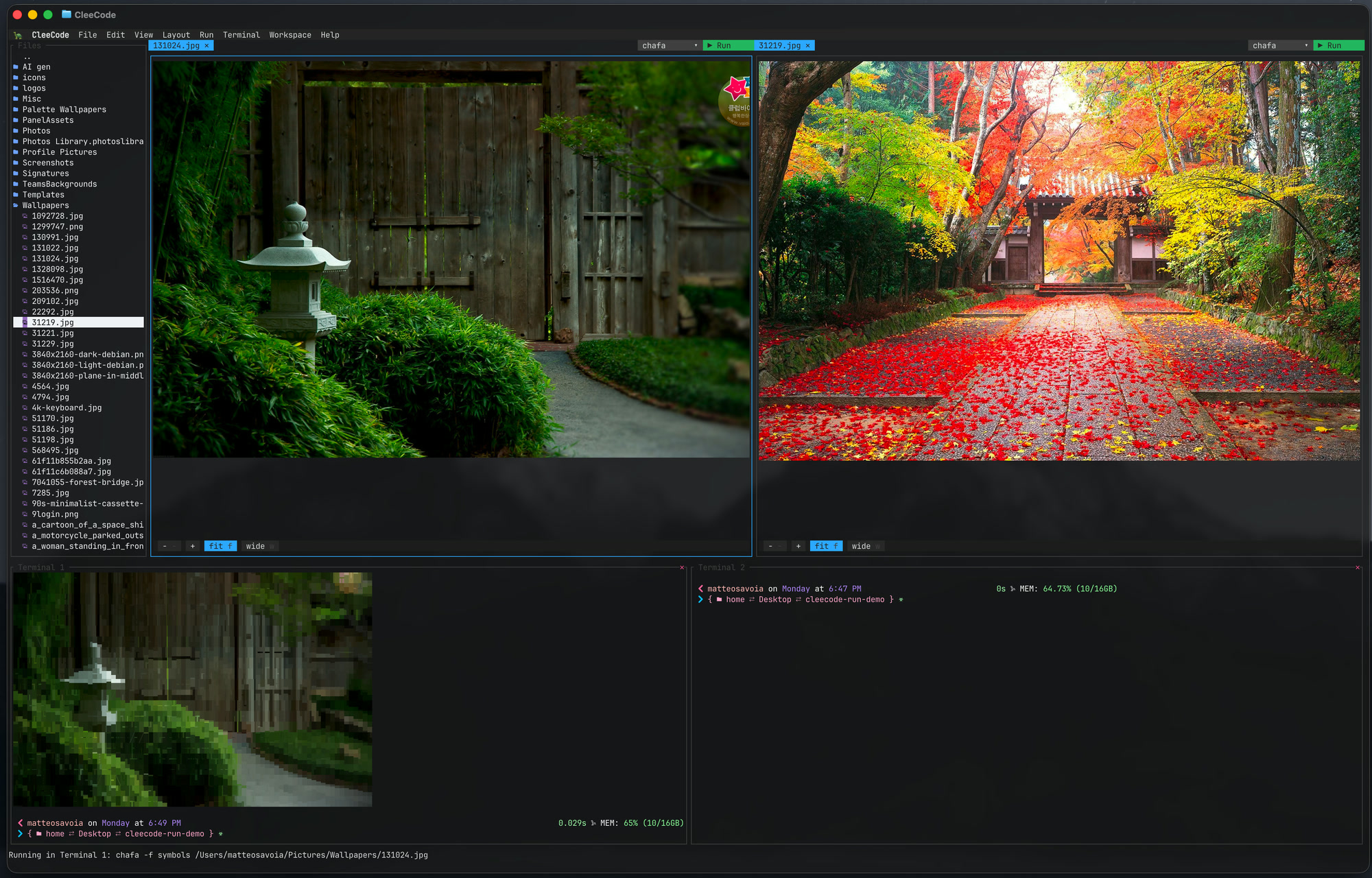 Two photographs open as tabs in CleeCode, with the same picture rendered through chafa in a terminal pane below