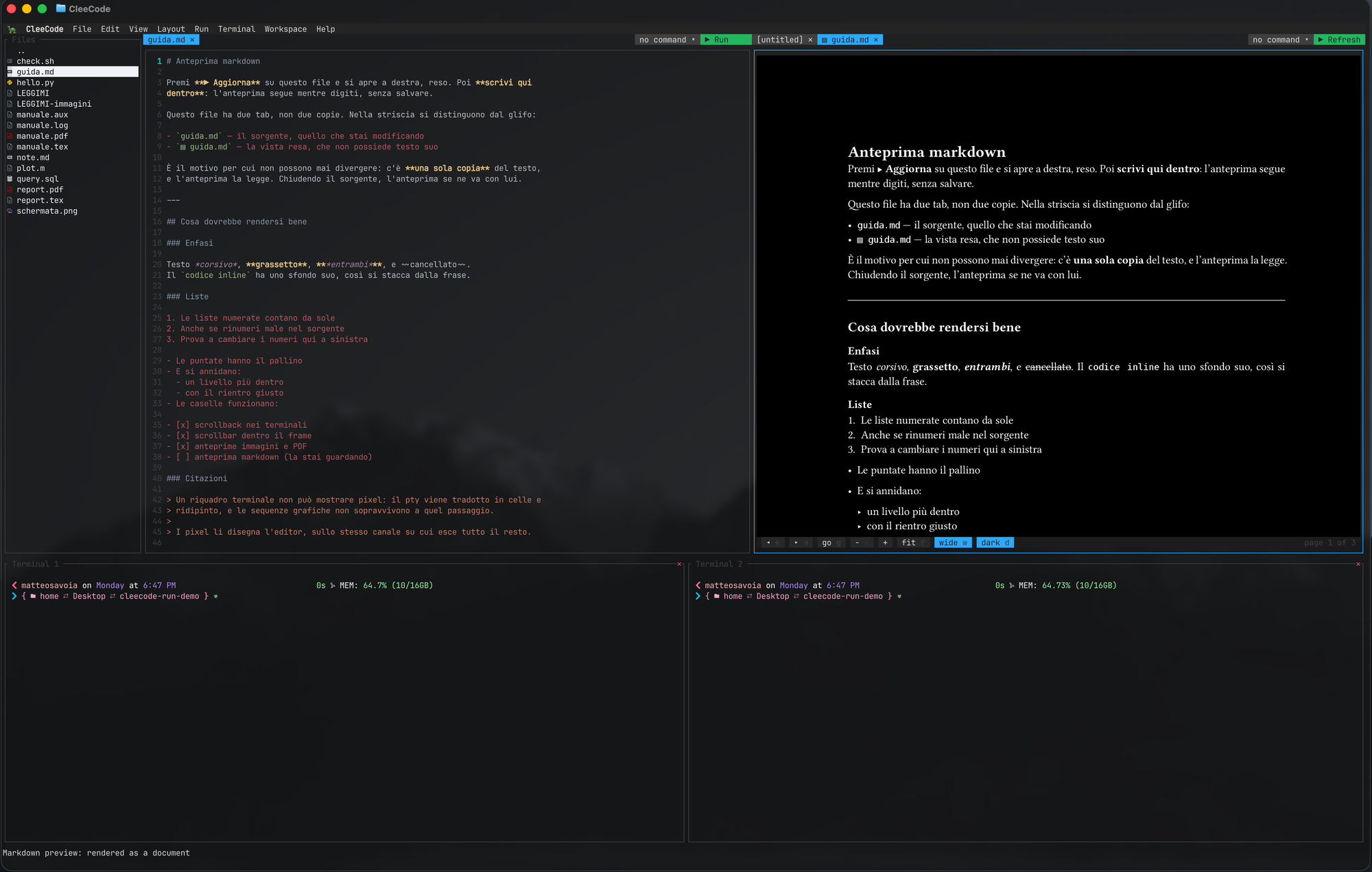 Markdown source on the left and the rendered document on the right, two tabs onto one file